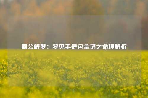 周公解梦：梦见手提包拿错之命理解析