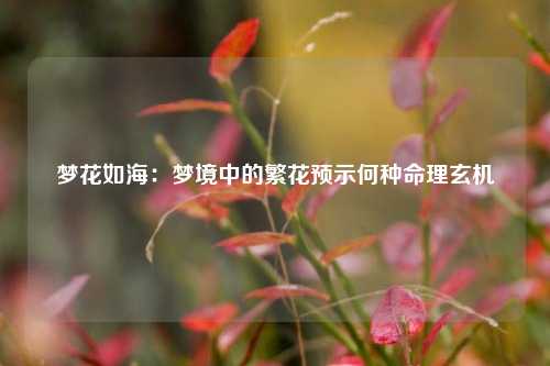 梦花如海：梦境中的繁花预示何种命理玄机