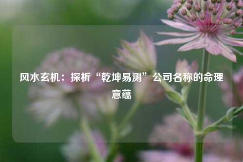 风水玄机:探析“乾坤易测”公司名称的命理意蕴